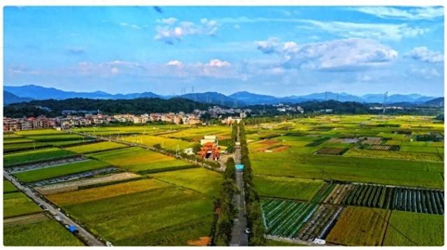 跟着村歌游增城！这个深秋，天籁乡音开启美好荔乡之旅