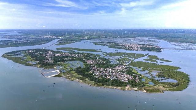 解锁湛江宝藏海岛！坐拥上万亩“天空之境”赶海胜地