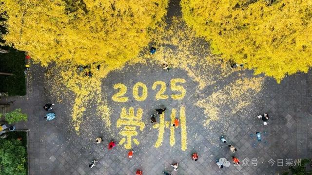 爆料！除了赏银杏，罨画池还有这些玩法~