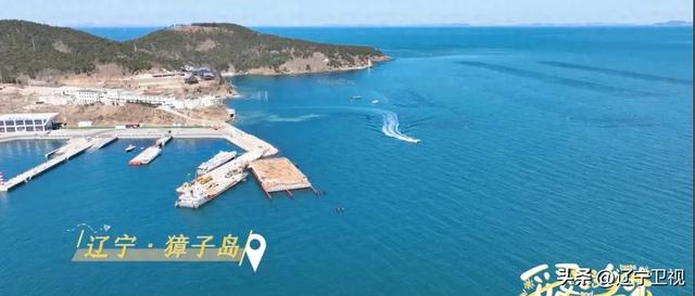 这里人均“海鲜自由”，就在辽宁这个北纬39度的海岛
