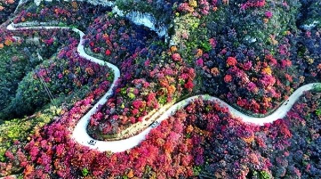 观景赏艺 一路芬芳燕赵间 河北深化文旅改革激发消费潜力