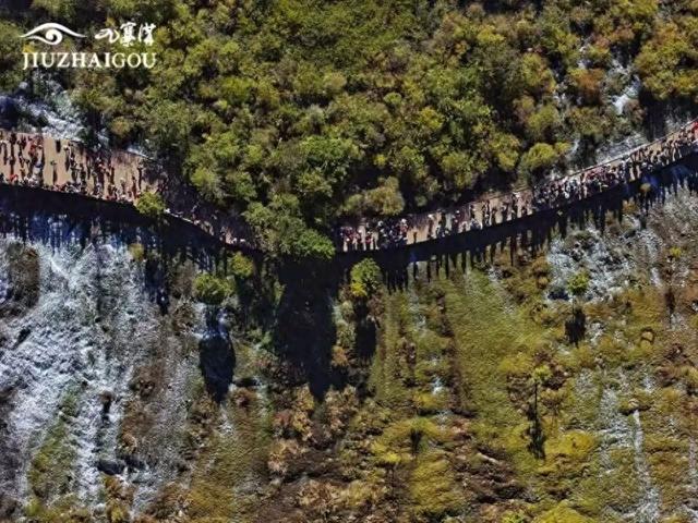 网友提议九寨沟周末及节假日时段暂停中老年游客免票政策，景区：现阶段无法调整