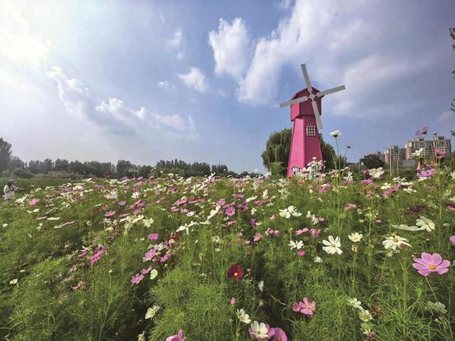 “花漾”典农河 银川人触手可及的幸福花园