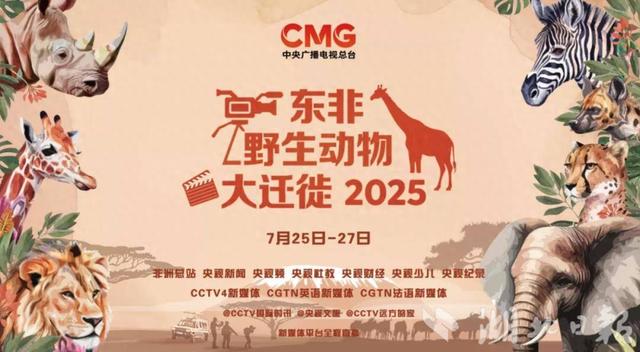武汉专家参与东非草原年度动物迁徙“大片”