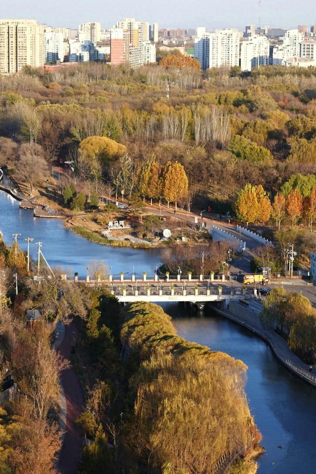 今年，朝阳有“加长版”秋日心动