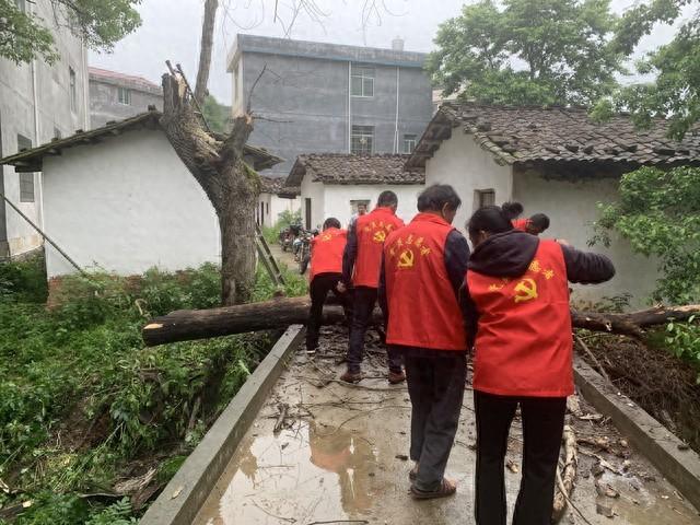 新一轮村两委换届选举定调！为什么村支书的工资比其他成员高？