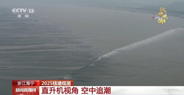 “潮汐树”“交叉潮” 跟着直升机一起空中追潮
