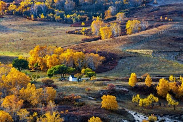 不藏了，除了草原，内蒙5个秋色仙境，最后一个颠覆你赏秋眼光！