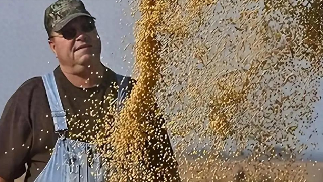 200万吨大豆烂港！巴西赌中国离不开它，却忘了中国早握3张王牌