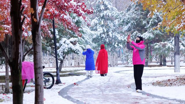 黑龙江绥化:初雪染城 五色交织引市民打卡赏景
