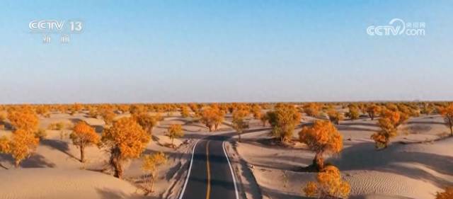各地迎来秋日“限定版”美景 “文旅+”新场景新业态激发“赏秋经济”活力