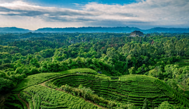 抓住假期尾巴 到这些地方品杯香茶！