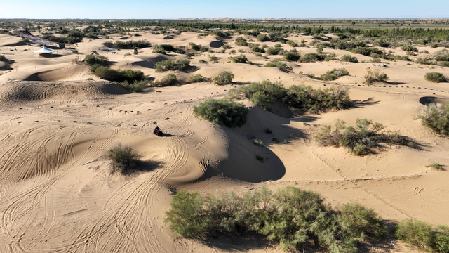 当十三朝古都遇见流动沙丘：这场展览颠覆了哪些认知？