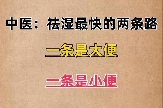 中医：祛湿最快的路子有两条，一条是大便，一条是小便