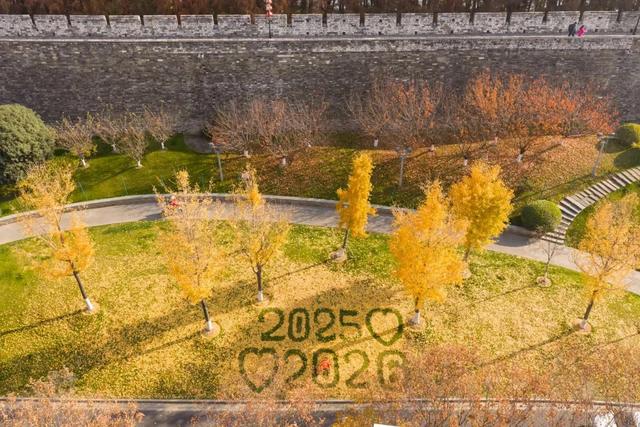 叶落成“景”，明城墙神武路太浪漫了！