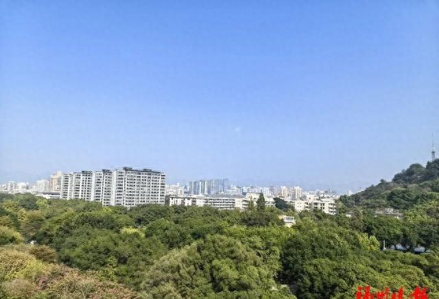 政和正规seo排名（77℃全福建冷飕飕大反转来了）