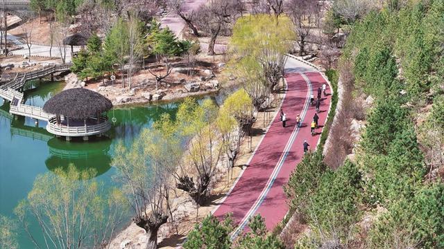 贺兰山运动公园春色满园