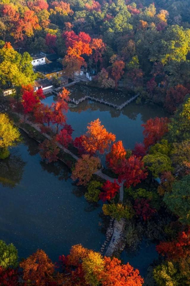 苏州秋天打卡线路推荐→