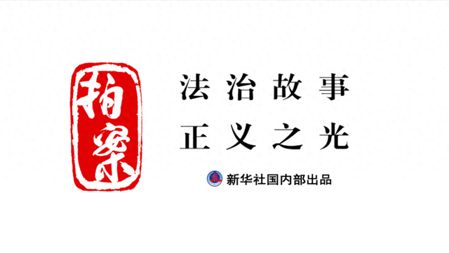 动物森林下载破解版（拍案丨巧设网者终自缚跨省护鸟机制织密法网）