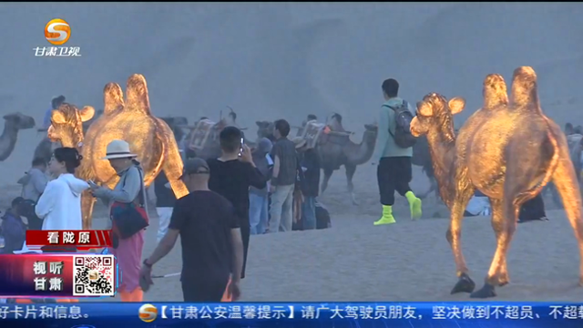 “敦煌集”璀璨开市 打造丝路夜游新地标