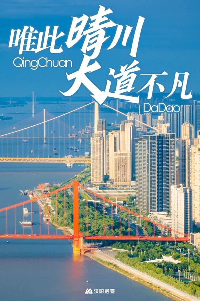 上央视！汉阳这条大道凭什么成顶流？