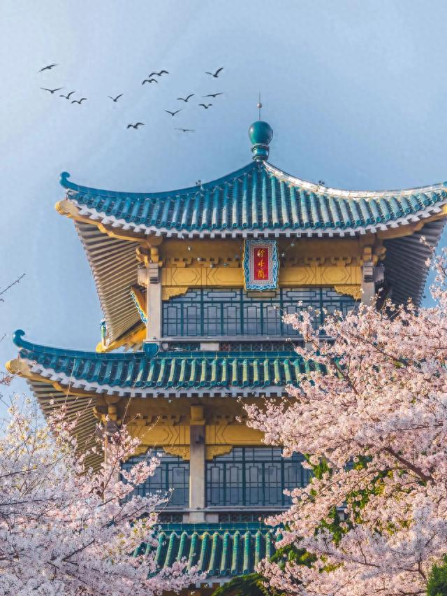 杭州宝妈带着一家人来了趟湖北武汉，杭州这三点和武汉差距太大了