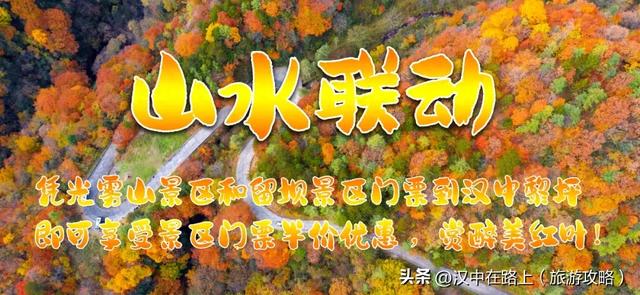 免票！半价！汉中这处红叶​绝佳观赏期已至，周末快冲！