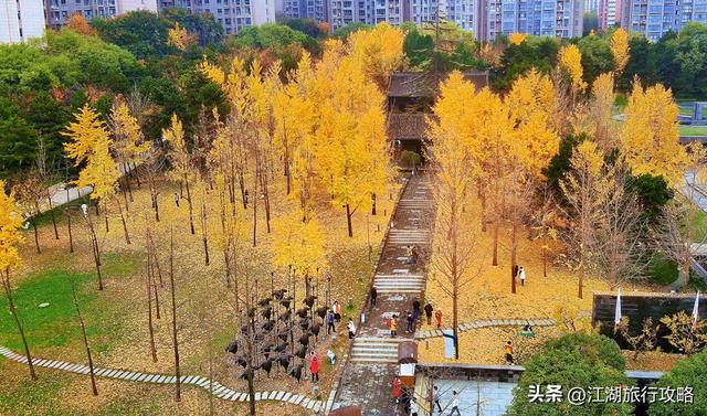 西安曲江富人区墓景房，地下埋着秦二世，地上是银杏林和博物馆