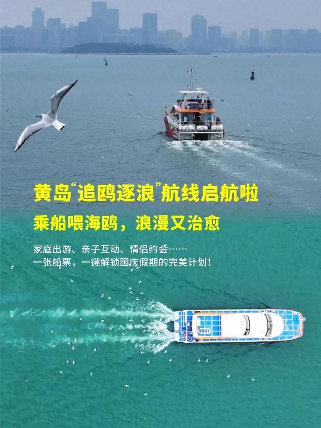 【家国同庆 悦享奥帆】就在黄岛，国庆开启“追鸥逐浪”之旅！乘船喂海鸥，浪漫又治愈！