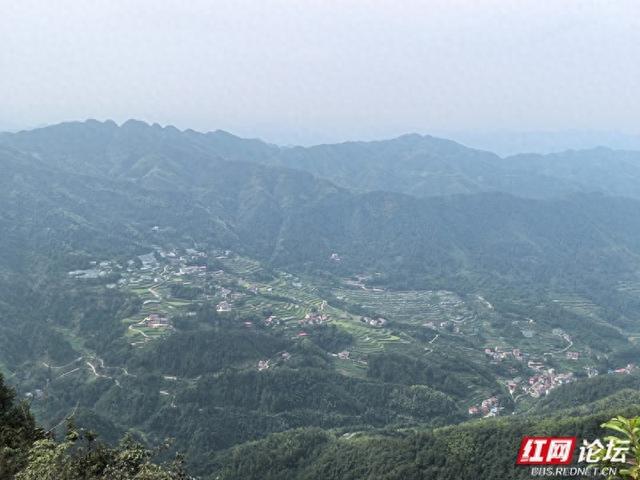 山上烟火起，山下稻金黄｜夏日寻凉九龙山