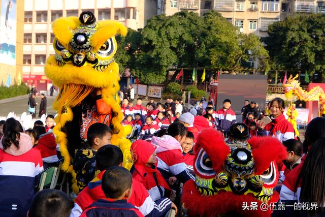 鹿眼视界·我的随拍之51｜南充2026年元旦文旅菜单来了！