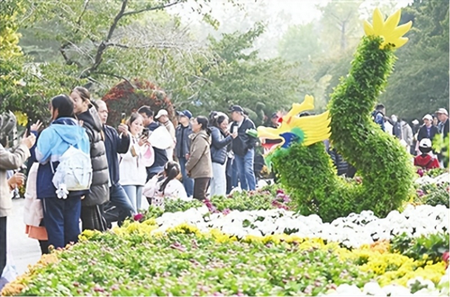 菊展、爵士乐、庭院艺术等轮番登场，享一份都市闲情