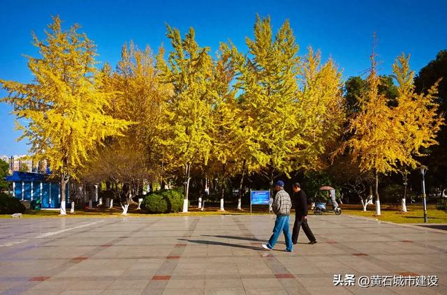 限时绝美！黄石街头进入颜值巅峰