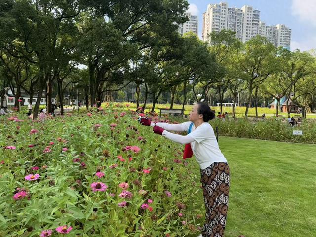 马鞍池公园邀市民当一回采花匠 一束花成了公园敞开大门的“钥匙”