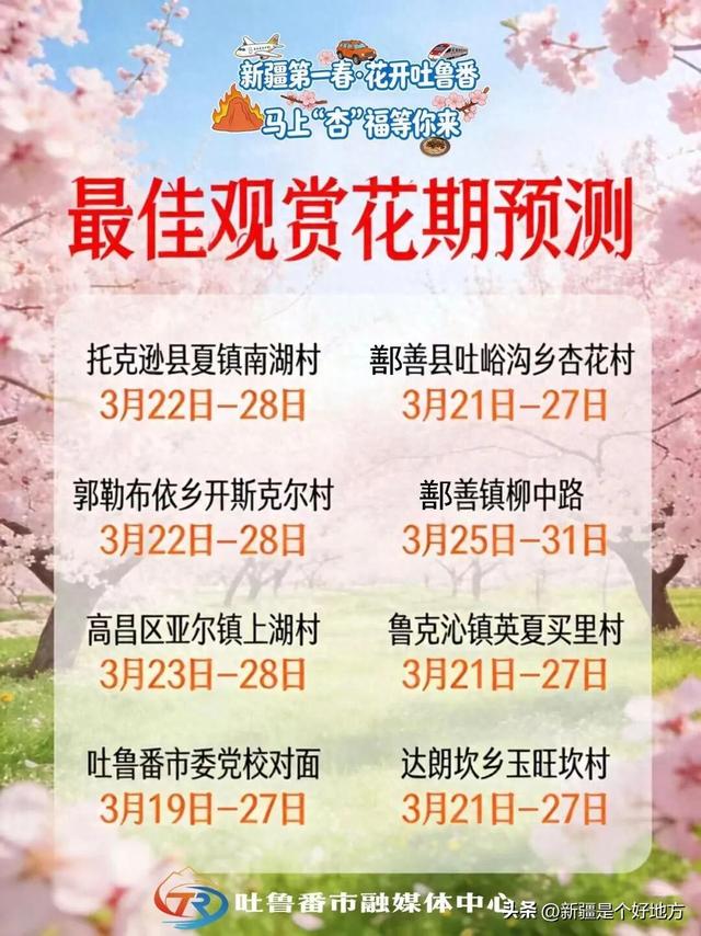 这个春天，来吐鲁番“花”点时间！