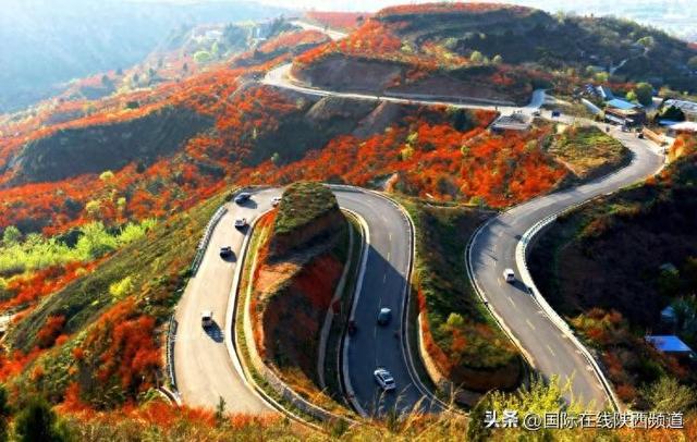 打造世界级旅游目的地 临潼为什么能？