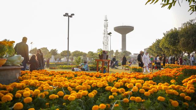 巴基斯坦伊斯兰堡：花团锦簇