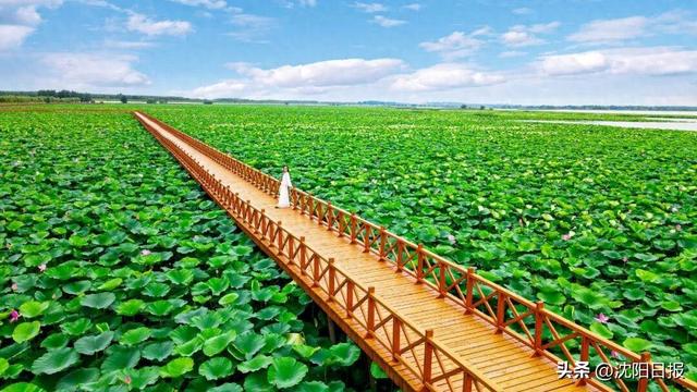 辽河七星湖景区发布闭园通知！