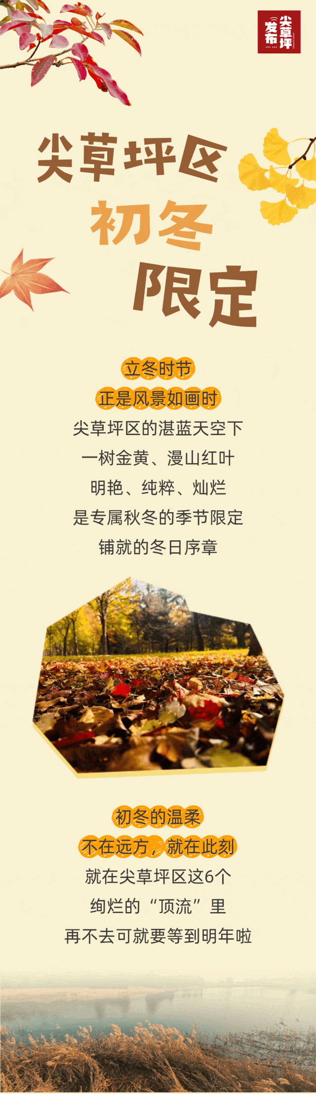 寻迹尖草坪丨初冬限定！这6处绝美风景，再不去真的要等一年！