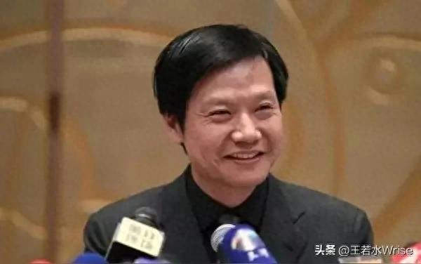 讨雷军文