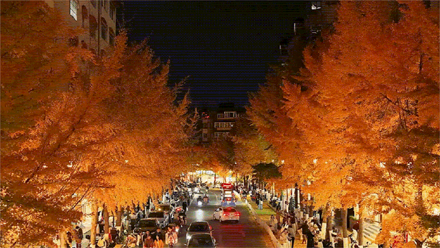 冬日美景在五华｜暮色如画，来文林街感受夜晚的“杏”动时刻