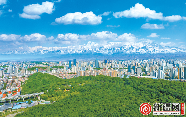 有一种奉献叫“雅山接力”:这里每一片叶子都写满绿色奇迹