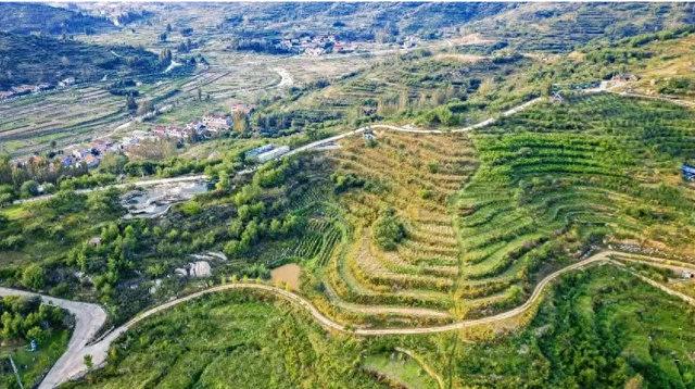 济南金秋采摘指南来啦！漫山果香已就位，这6处采摘地等你来！