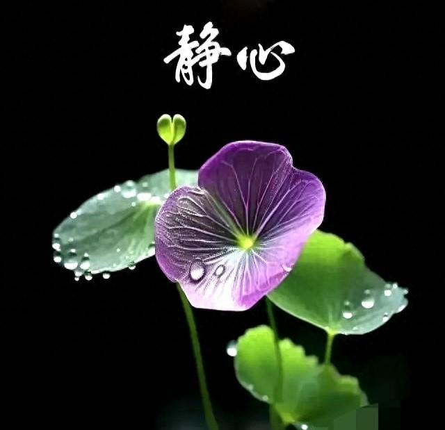 八段锦的“终极秘诀”曝光，你知道几个？