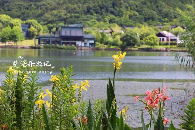 浙江宁波这片湿地少有人来，却是很美的赏荷胜地，周边美景也很多