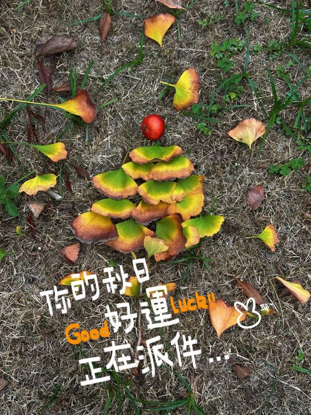 别宅啦！去江陵的街头“捡秋”吧