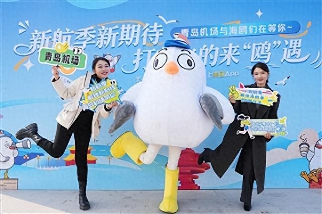 打个“飞的”来青“鸥”遇吧 万鸥引客票根留人 市南区打出岛城冬日文旅“组合拳”