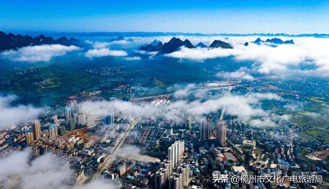 你会专程为了吃而跑一趟柳城吗？我的答案是：会！