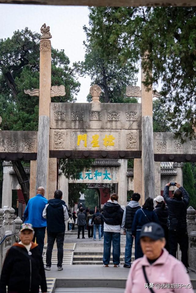 不卷秋景卷冬景！三孔景区的银杏，藏着最治愈的金黄秘境