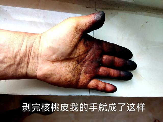 核桃皮汁怎么清洗（剥青核桃皮把手弄黑了）